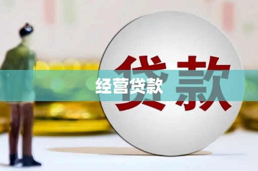 临沧经营贷款