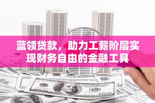 临沧蓝领贷款，助力工薪阶层实现财务自由的金融工具