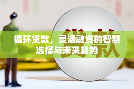 临沧循环贷款，灵活融资的智慧选择与未来趋势