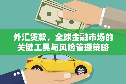 临沧外汇贷款，全球金融市场的关键工具与风险管理策略