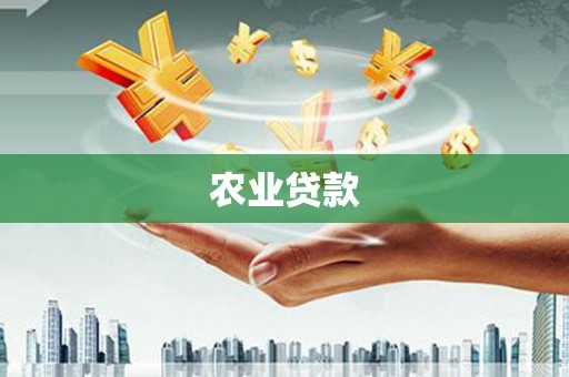 临沧农业贷款