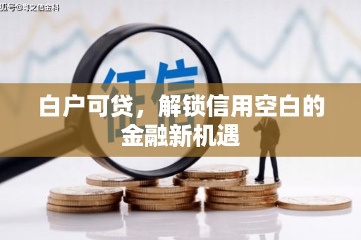 临沧白户可贷，解锁信用空白的金融新机遇