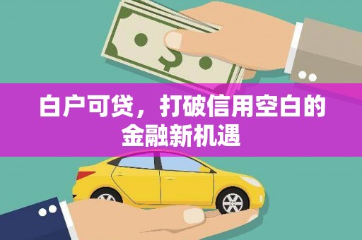临沧白户可贷，打破信用空白的金融新机遇