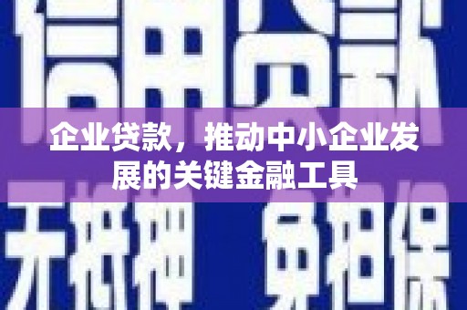 临沧企业贷款，推动中小企业发展的关键金融工具
