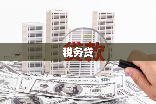 临沧税务贷