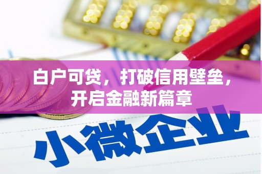 临沧白户可贷，打破信用壁垒，开启金融新篇章