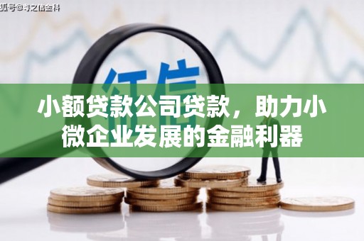 临沧小额贷款公司贷款，助力小微企业发展的金融利器
