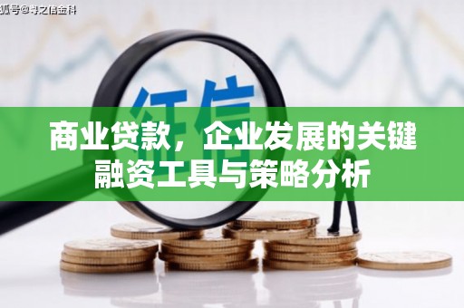 临沧商业贷款，企业发展的关键融资工具与策略分析