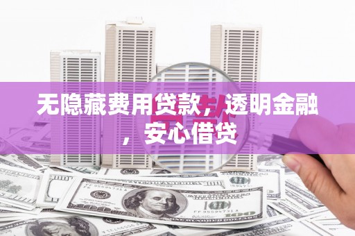 临沧无隐藏费用贷款，透明金融，安心借贷
