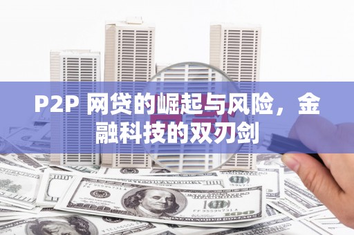临沧P2P 网贷的崛起与风险，金融科技的双刃剑