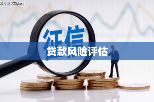 临沧贷款风险评估