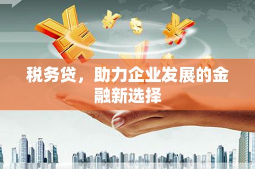 临沧税务贷，助力企业发展的金融新选择