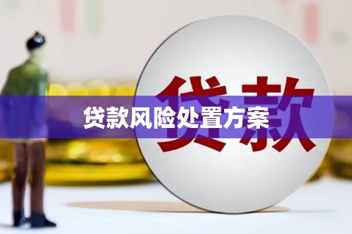 临沧贷款风险处置方案