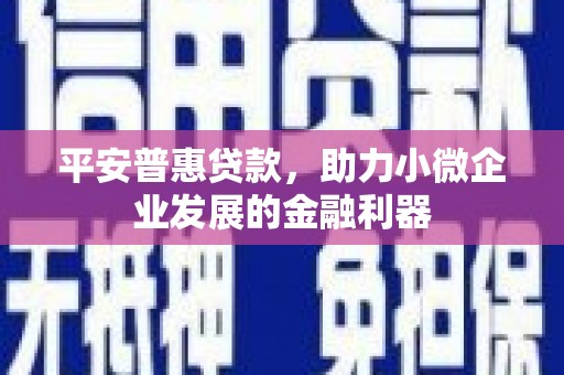 临沧平安普惠贷款，助力小微企业发展的金融利器