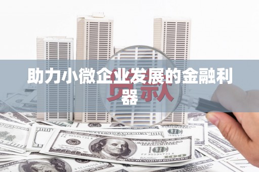 临沧助力小微企业发展的金融利器