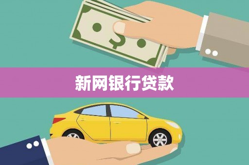 临沧新网银行贷款