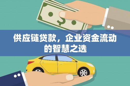 临沧供应链贷款，企业资金流动的智慧之选