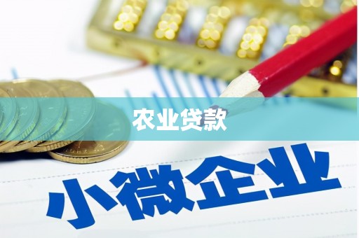 临沧农业贷款