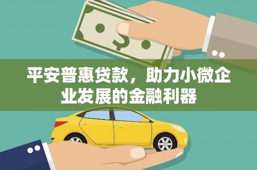 临沧平安普惠贷款，助力小微企业发展的金融利器