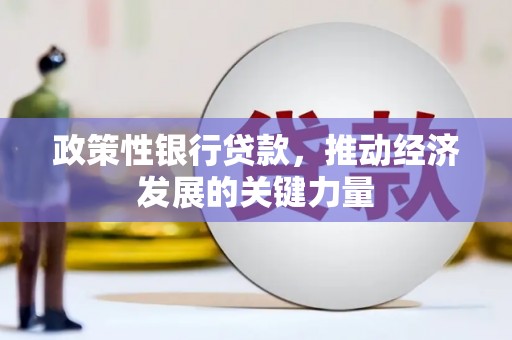 临沧政策性银行贷款，推动经济发展的关键力量