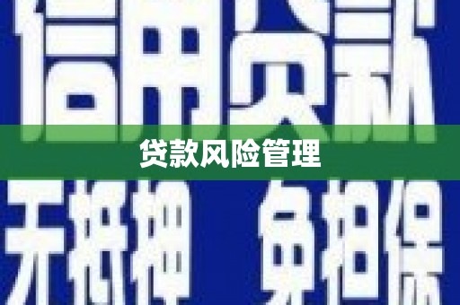 临沧贷款风险管理