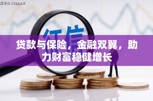 临沧贷款与保险，金融双翼，助力财富稳健增长
