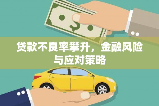 临沧贷款不良率攀升，金融风险与应对策略
