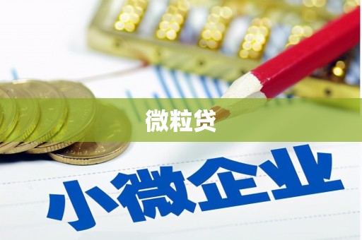 临沧微粒贷