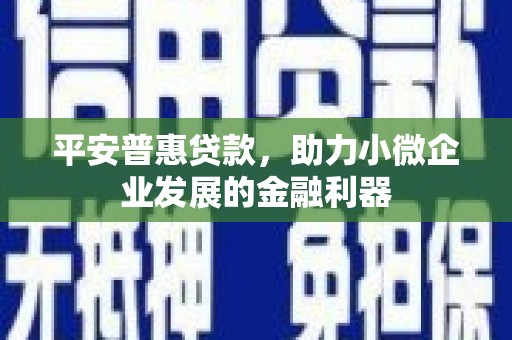 临沧平安普惠贷款，助力小微企业发展的金融利器