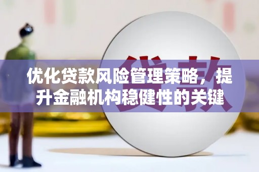 临沧优化贷款风险管理策略，提升金融机构稳健性的关键