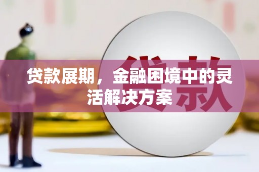 临沧贷款展期，金融困境中的灵活解决方案