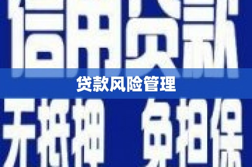 临沧贷款风险管理