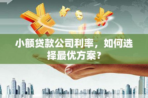 临沧小额贷款公司利率，如何选择最优方案？