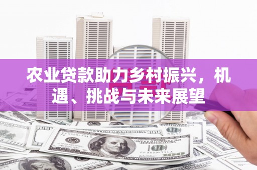 临沧农业贷款助力乡村振兴，机遇、挑战与未来展望
