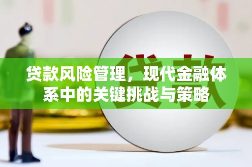 临沧贷款风险管理，现代金融体系中的关键挑战与策略