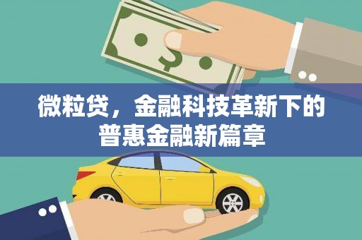 临沧微粒贷，金融科技革新下的普惠金融新篇章