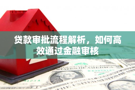 临沧贷款审批流程解析，如何高效通过金融审核