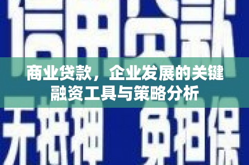 临沧商业贷款，企业发展的关键融资工具与策略分析