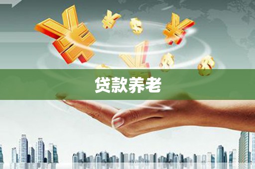 临沧贷款养老