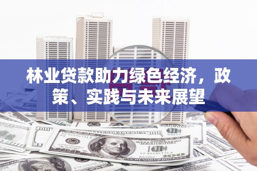 临沧林业贷款助力绿色经济，政策、实践与未来展望