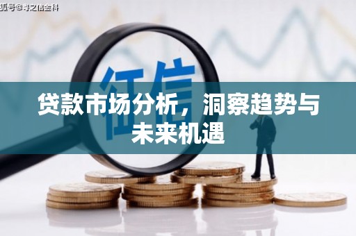 临沧贷款市场分析，洞察趋势与未来机遇