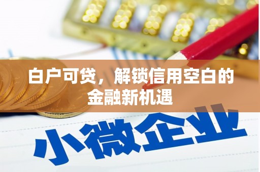 临沧白户可贷，解锁信用空白的金融新机遇