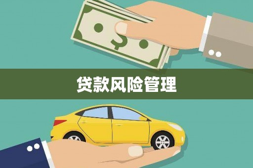 临沧贷款风险管理