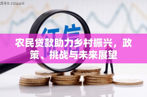 临沧农民贷款助力乡村振兴，政策、挑战与未来展望