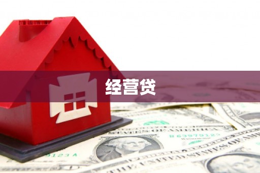 临沧经营贷