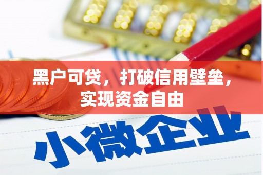 临沧黑户可贷，打破信用壁垒，实现资金自由