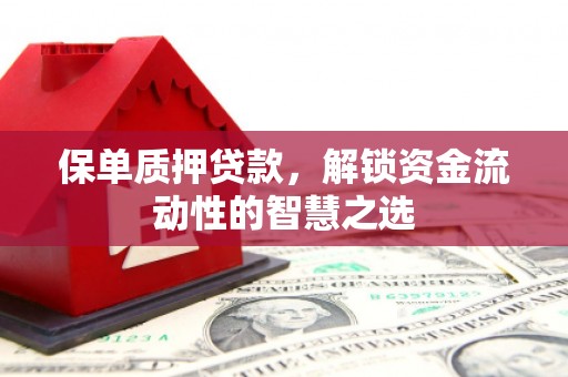 临沧保单质押贷款，解锁资金流动性的智慧之选
