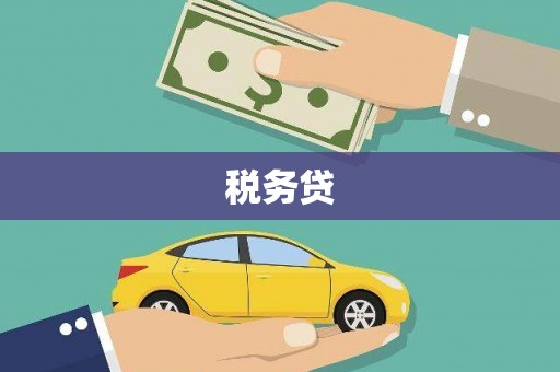 临沧税务贷