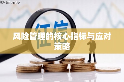 临沧风险管理的核心指标与应对策略