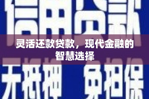 临沧灵活还款贷款，现代金融的智慧选择